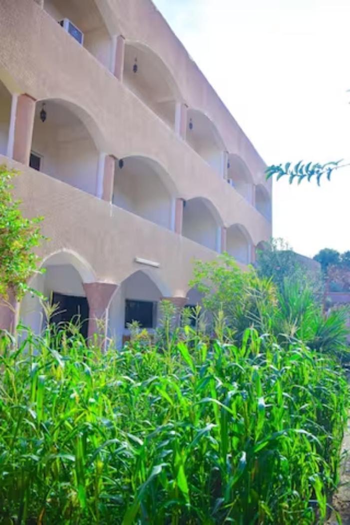 Rose Guest House الأقصر المظهر الخارجي الصورة