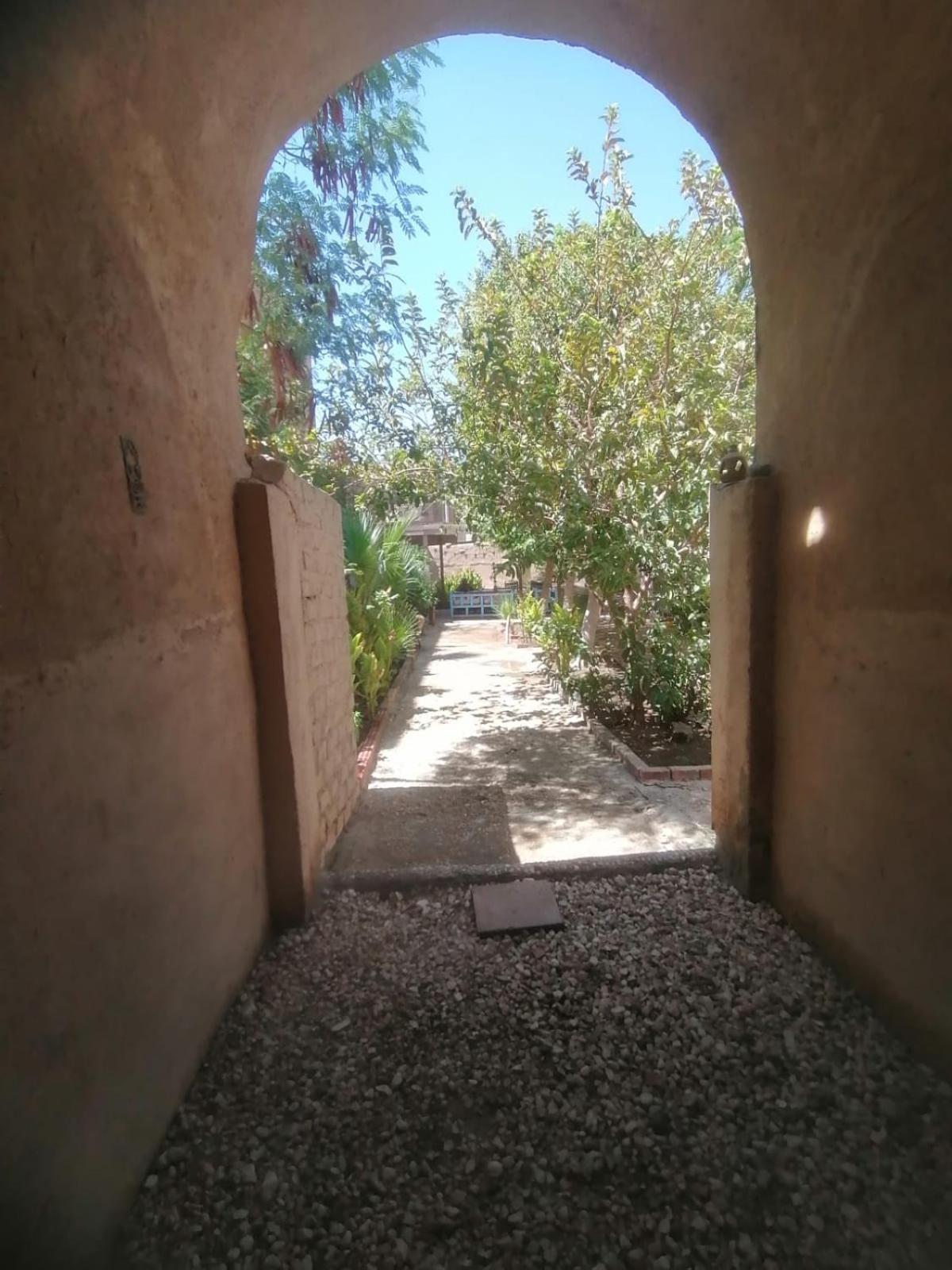 Rose Guest House الأقصر المظهر الخارجي الصورة