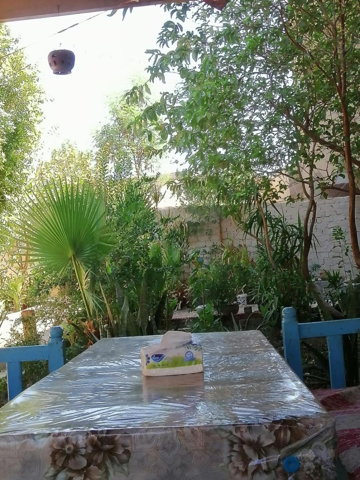 Rose Guest House الأقصر المظهر الخارجي الصورة
