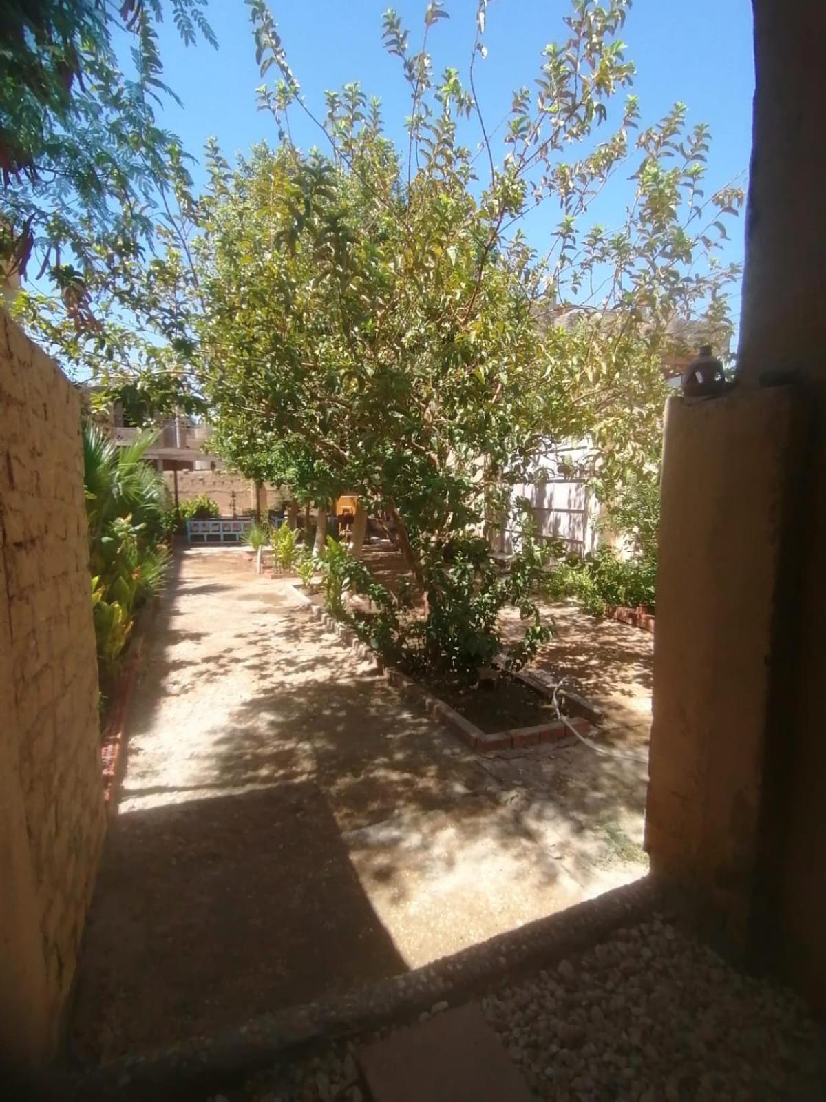 Rose Guest House الأقصر المظهر الخارجي الصورة
