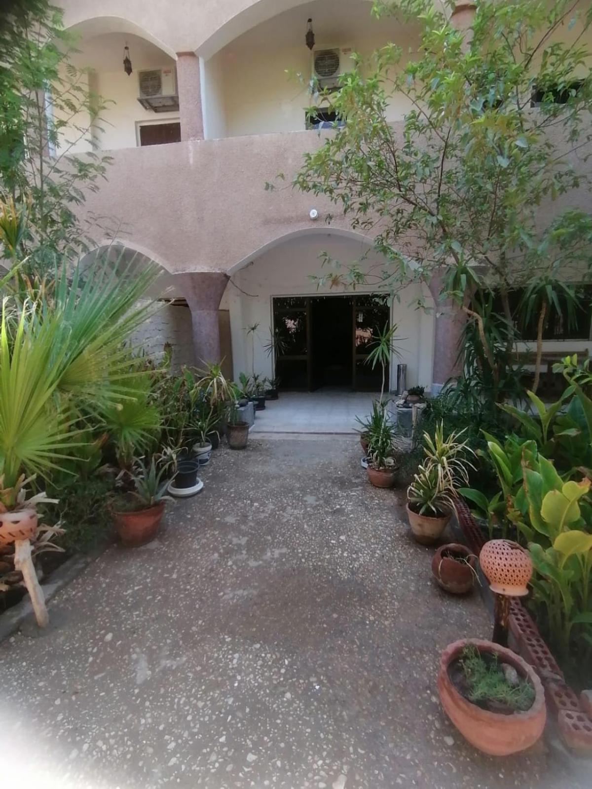 Rose Guest House الأقصر المظهر الخارجي الصورة