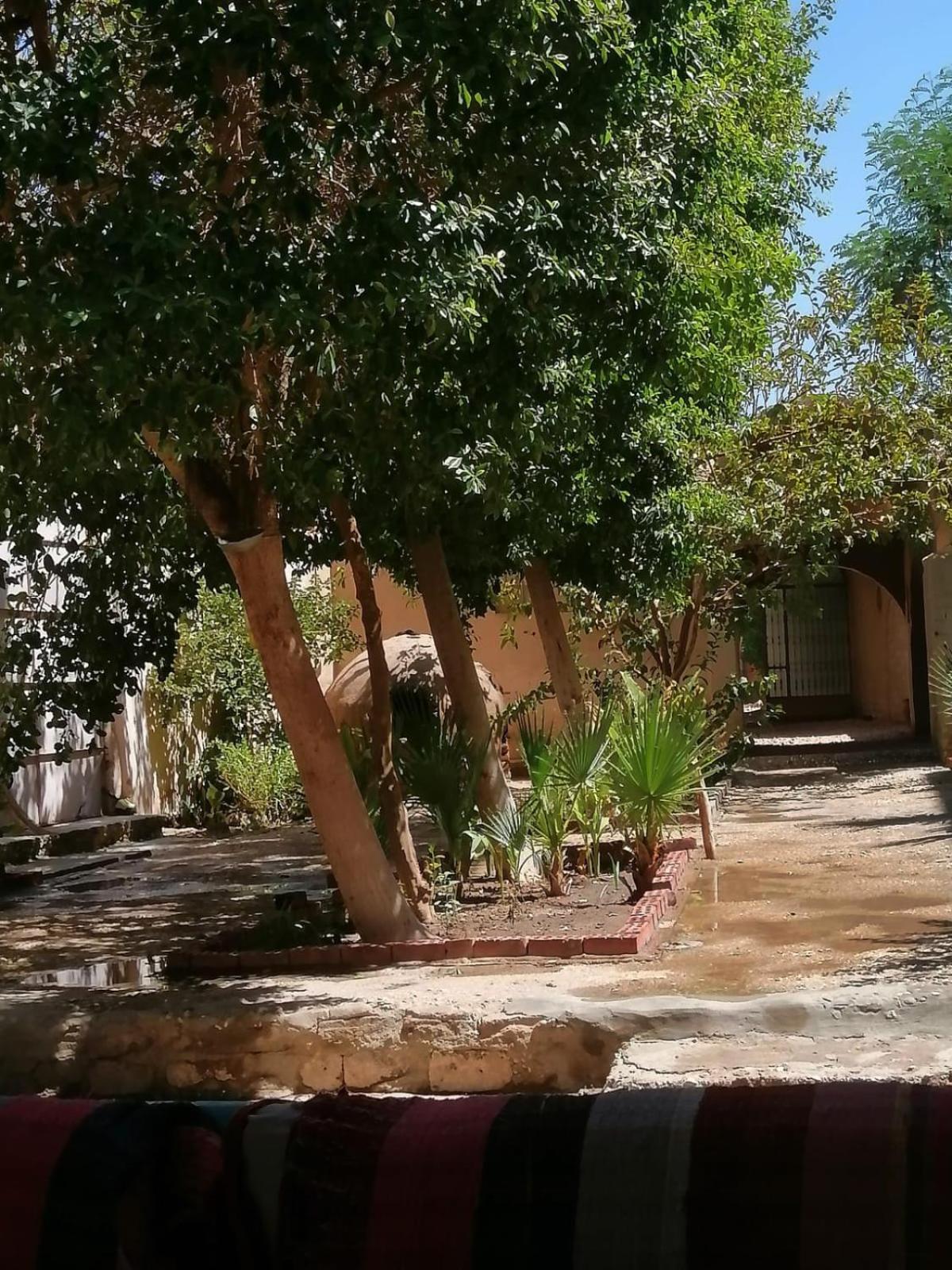 Rose Guest House الأقصر المظهر الخارجي الصورة