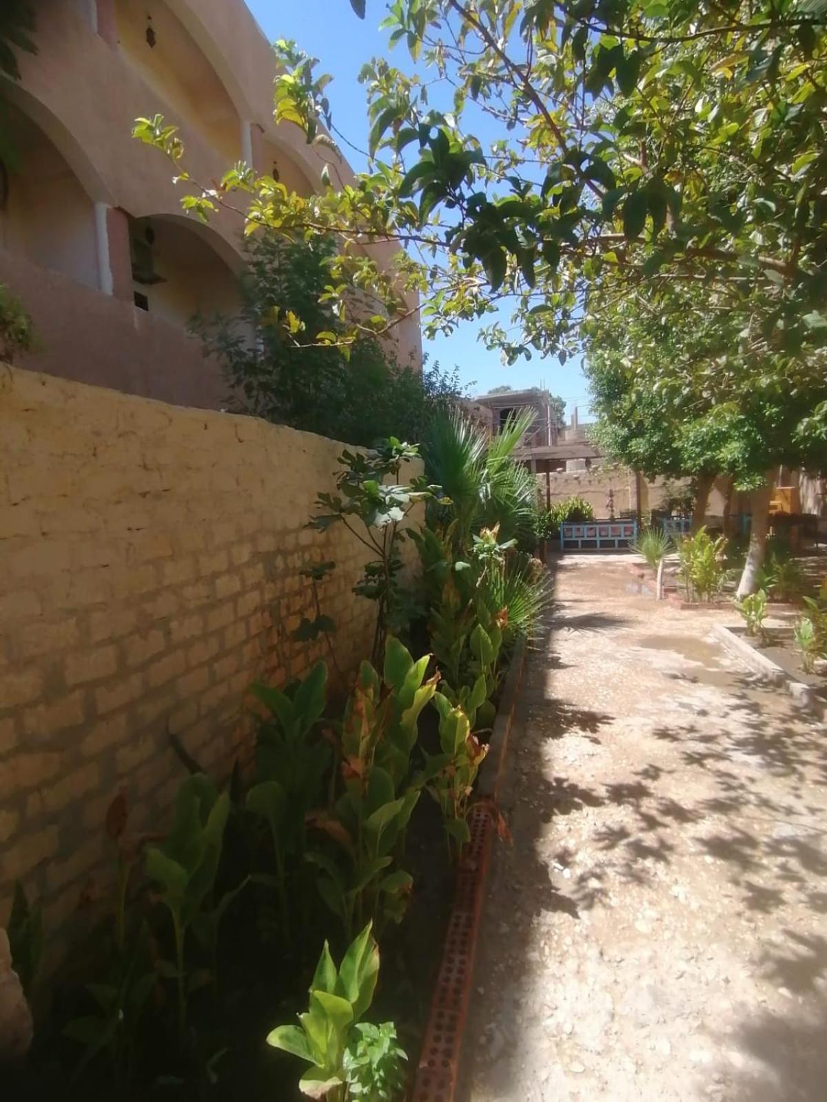 Rose Guest House الأقصر المظهر الخارجي الصورة