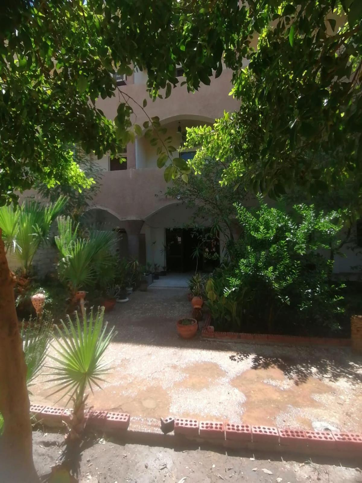Rose Guest House الأقصر المظهر الخارجي الصورة