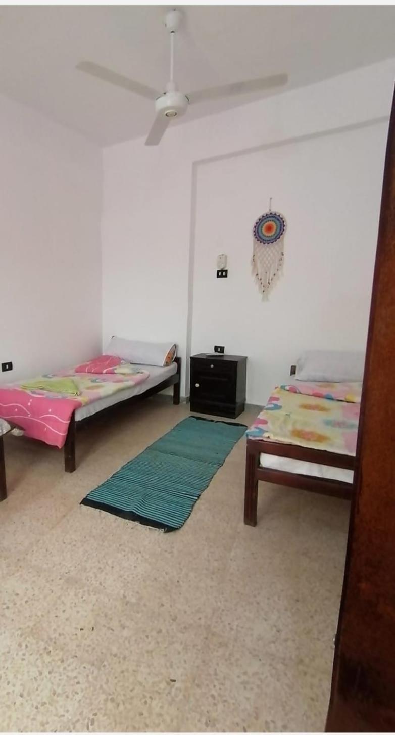 Rose Guest House الأقصر المظهر الخارجي الصورة