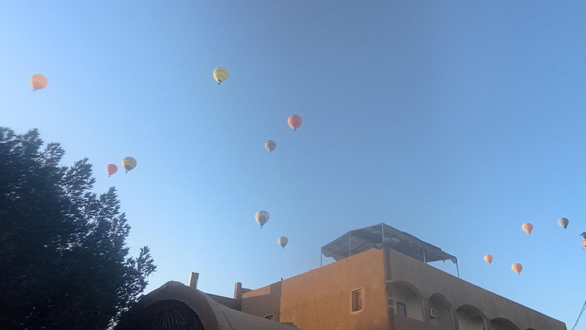 Rose Guest House الأقصر المظهر الخارجي الصورة